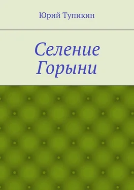 Юрий Тупикин Селение Горыни обложка книги