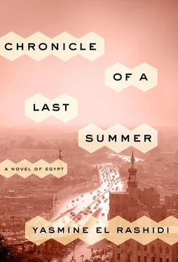 Yasmine Rashidi Chronicle of a Last Summer обложка книги