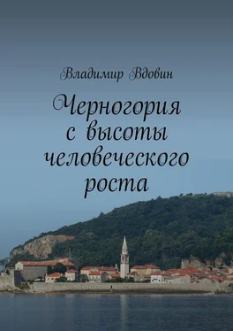 Владимир Вдовин Черногория с высоты человеческого роста обложка книги