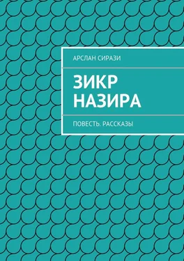 Арслан Сирази Зикр Назира обложка книги