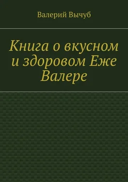 Валерий Вычуб Книга о вкусном и здоровом Еже Валере обложка книги