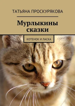 Татьяна Проскурякова Мурлыкины сказки обложка книги