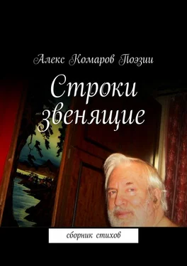 Алекс Комаров Поэзии Строки звенящие обложка книги