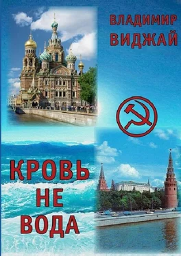 Владимир Виджай Кровь не вода обложка книги