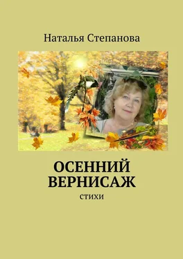 Наталья Степанова Осенний вернисаж обложка книги