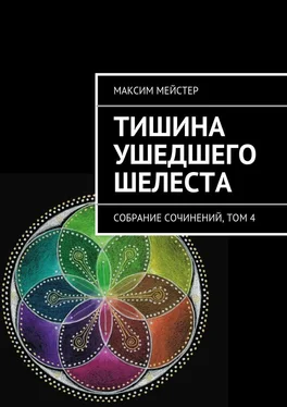 Максим Мейстер Тишина ушедшего шелеста обложка книги