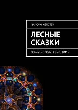 Максим Мейстер Лесные сказки обложка книги