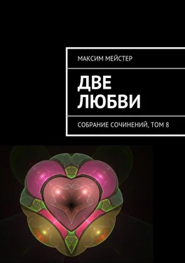 Максим Мейстер Две любви обложка книги