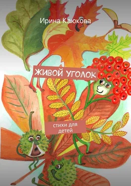 Ирина Каюкова Живой уголок обложка книги
