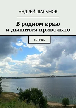 Андрей Шаламов В родном краю и дышится привольно обложка книги