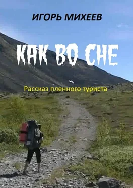 Игорь Михеев Как во сне обложка книги
