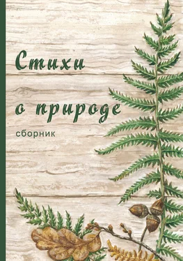 Коллектив авторов Стихи о природе (сборник) обложка книги