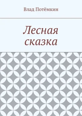 Влад Потёмкин Лесная сказка обложка книги