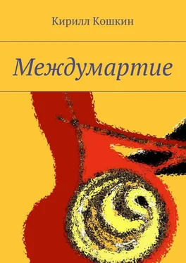 Кирилл Кошкин Междумартие обложка книги