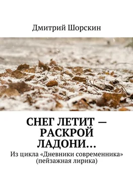 Дмитрий Шорскин Снег летит – раскрой ладони… обложка книги