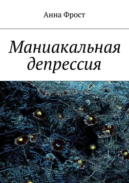 Анна Фрост Маниакальная депрессия обложка книги