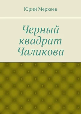 Юрий Меркеев Черный квадрат Чаликова обложка книги