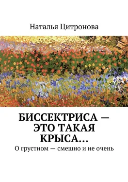 Наталья Цитронова Биссектриса – это такая крыса… обложка книги