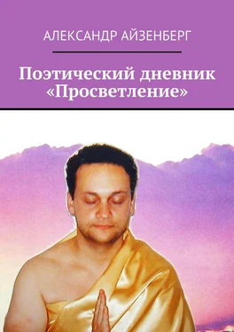 Александр Айзенберг Поэтический дневник «Просветление» обложка книги