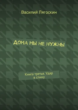 Василий Лягоскин Дома мы не нужны. Книга третья. Удар в спину обложка книги