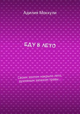 Адилия Моккули Еду в лето обложка книги