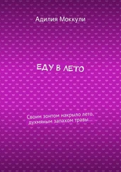 Адилия Моккули - Еду в лето