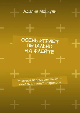 Адилия Моккули Осень играет печально на флейте обложка книги