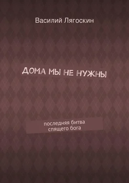 Василий Лягоскин Дома мы не нужны. последняя битва спящего бога обложка книги