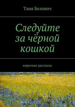 Таня Белович Следуйте за чёрной кошкой обложка книги