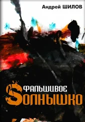 Андрей Шилов - Фальшивое Sолнышко
