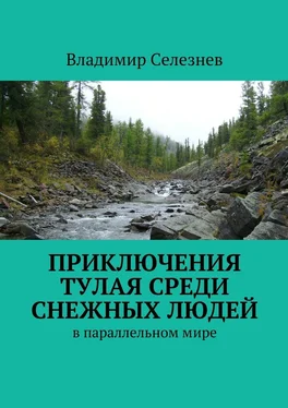 Владимир Селезнев Приключения Тулая среди снежных людей обложка книги