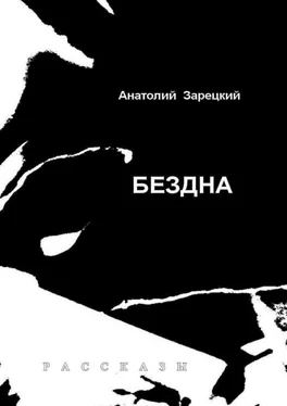 Анатолий Зарецкий Бездна обложка книги