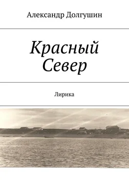 Александр Долгушин Красный Север обложка книги