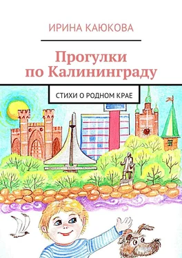 Ирина Каюкова Прогулки по Калининграду обложка книги