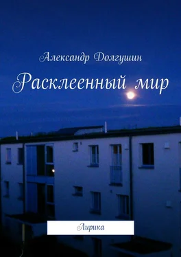 Александр Долгушин Расклееенный мир обложка книги