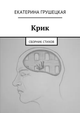 Екатерина Грушецкая Крик обложка книги