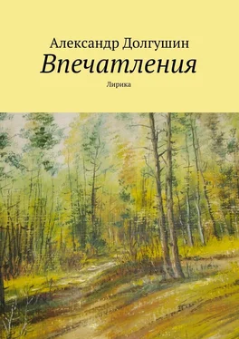Александр Долгушин Впечатления обложка книги