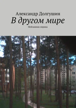 Александр Долгушин В другом мире обложка книги