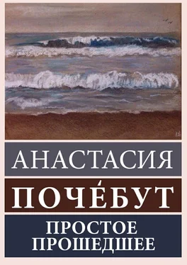 Анастасия Почебут Простое Прошедшее обложка книги