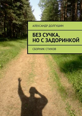 Александр Долгушин Без сучка, но с задоринкой обложка книги