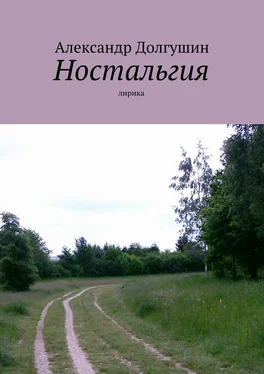 Александр Долгушин Ностальгия обложка книги