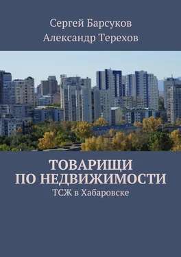 С. Барсуков Товарищи по недвижимости обложка книги