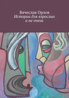 Вячеслав Орлов Истории для взрослых и не очень обложка книги
