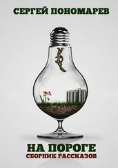 Сергей Пономарев - На пороге