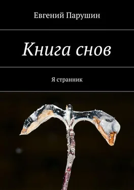 Евгений Парушин Книга снов обложка книги