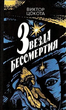 Виктор Цокота Звезда бессмертия обложка книги