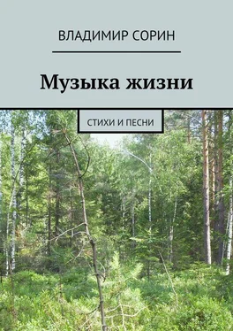 Владимир Сорин Музыка жизни обложка книги