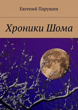 Евгений Парушин Хроники Шома обложка книги