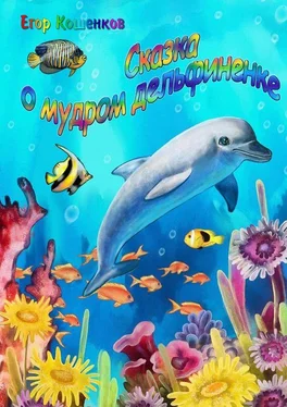 Егор Кошенков Сказка о мудром дельфиненке обложка книги