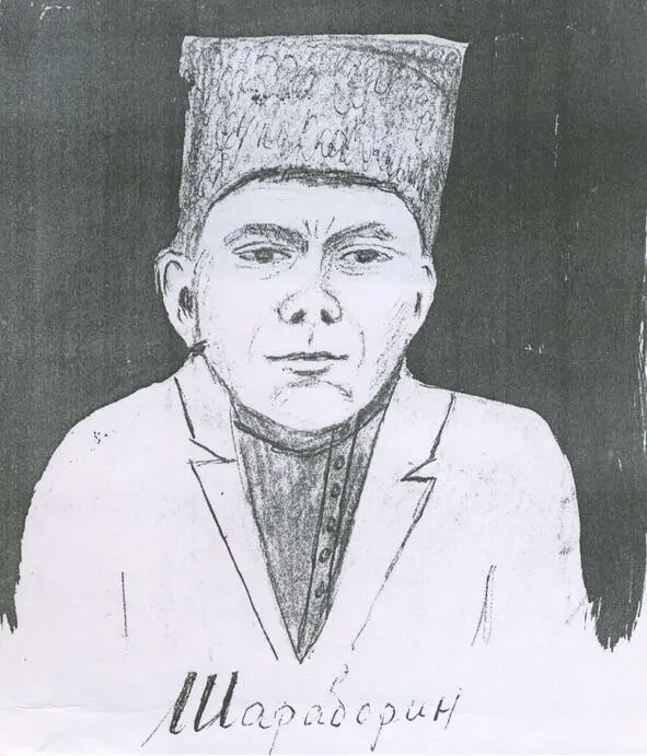 Серёжа Шараборин Рисунок Ивана Сарычева Возле зелёного кустика всегда травка - фото 2